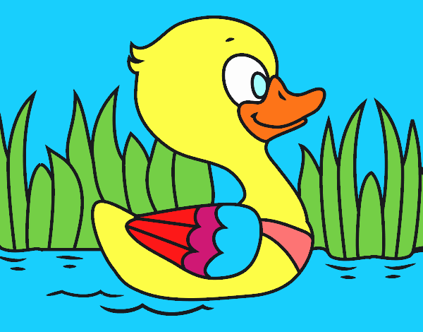 Desenho de Pato pintado e colorido por Usuário não registrado o