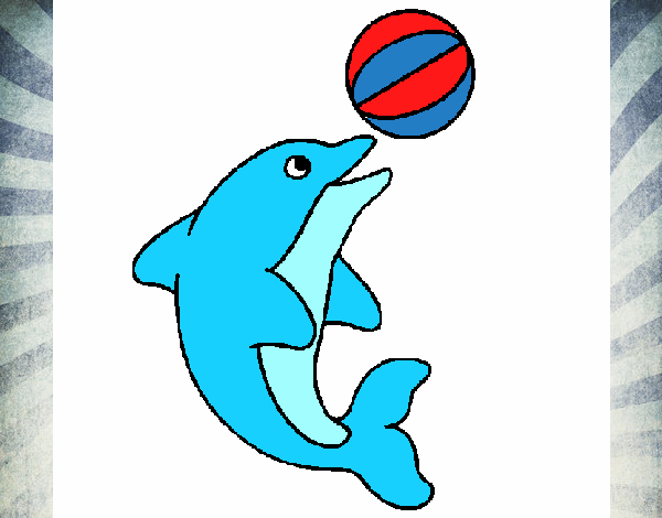 Desenho de Golfinho para Colorir - Colorir.com
