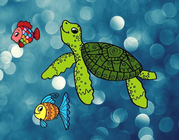 Tartaruga Para Colorir - Adultos e Filhotes, Na Terra e no Mar