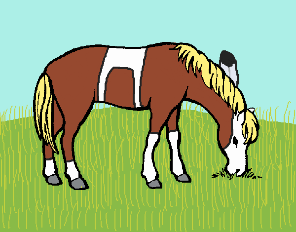 Cavalo a comer 