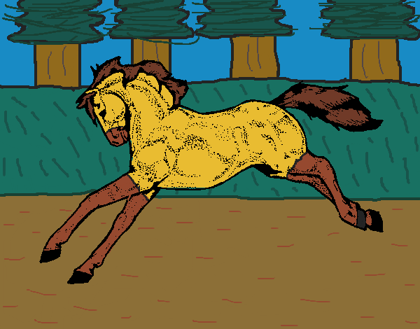 Cavalo a correr