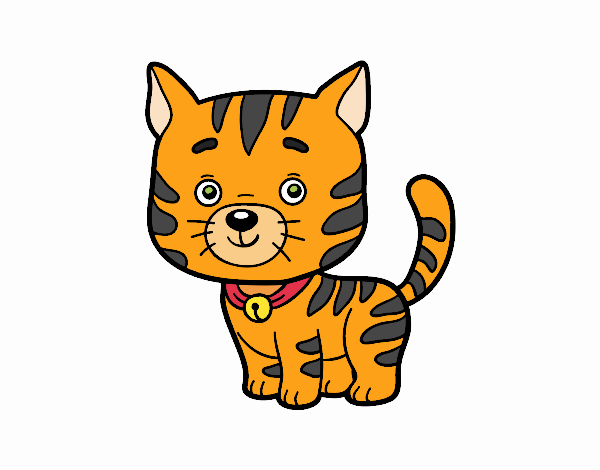 Desenho de Gato doméstico pintado e colorido por Kawaii o dia 27 de  Dezembro do 2016