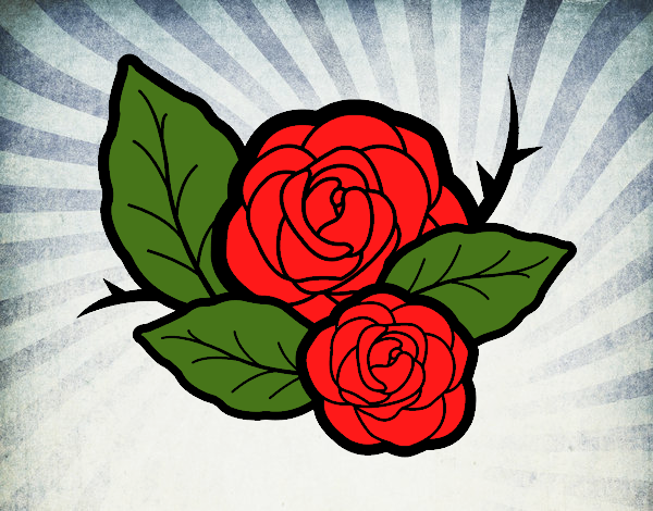 Duas rosas