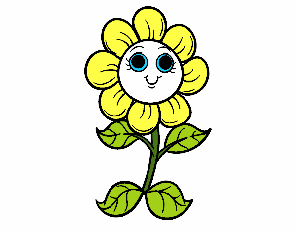 Uma pequena flor