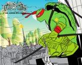 Leonardo Ninja Turtles