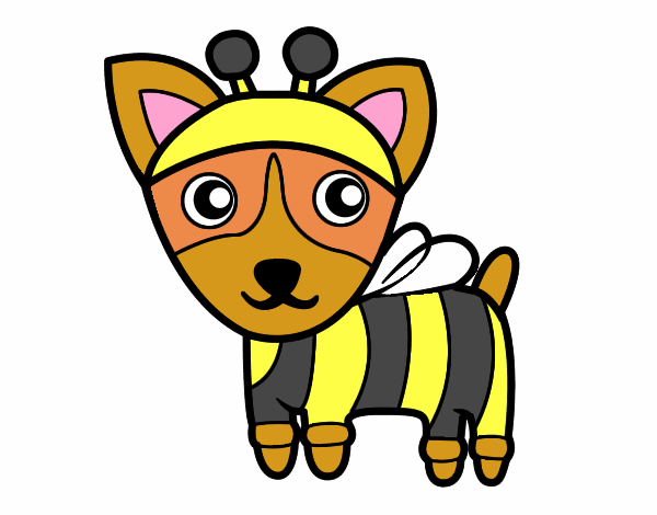Cão-abelha