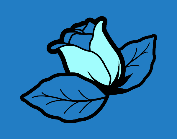 Plantinha azul 