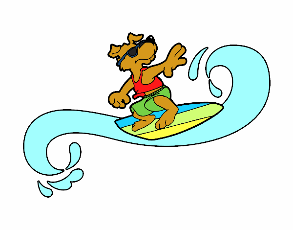 cachorro surfista onda