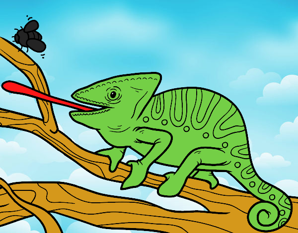 Um camaleão com a língua para fora