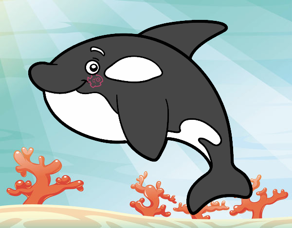 orca desenho