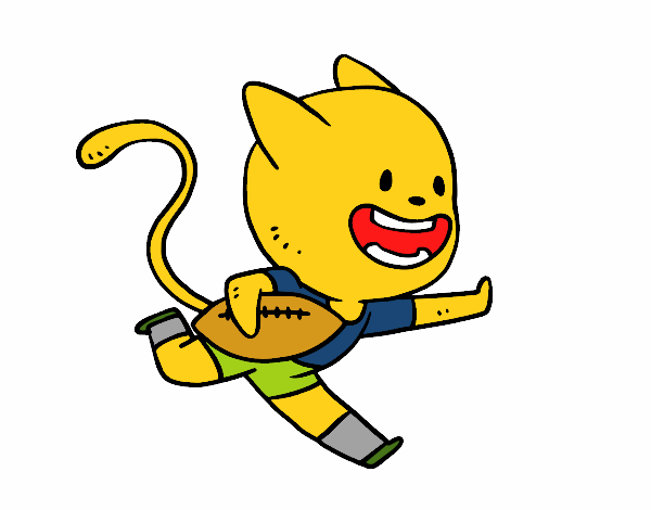 Gato rugby