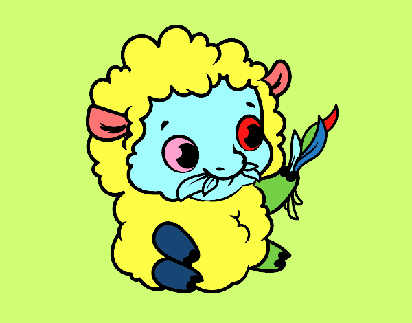 Bebê ovelha