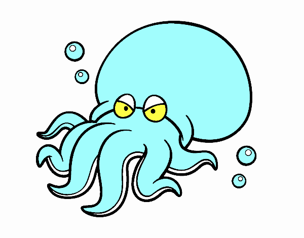 Octopoda