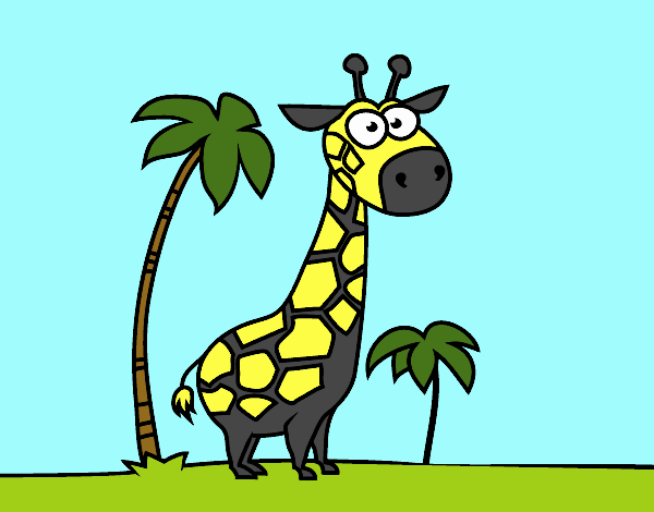 A girafa africana