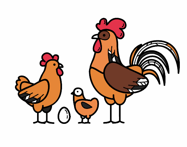 Família de galinha