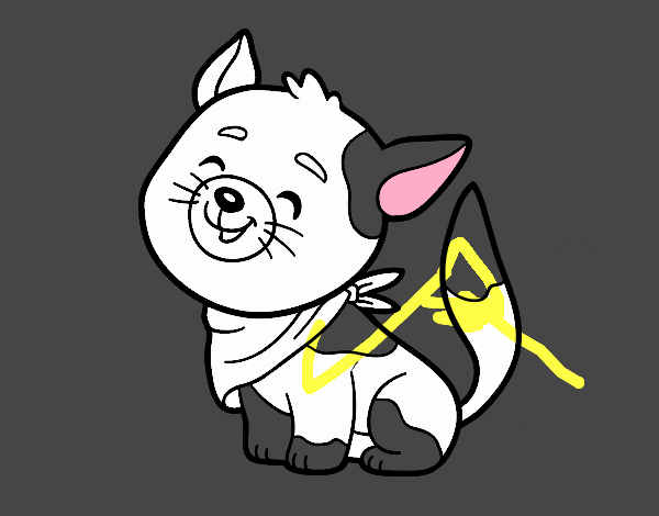 Gato com bandana