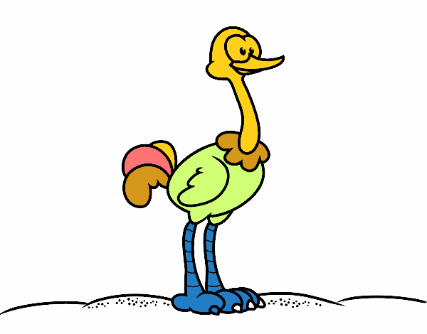 Um avestruz