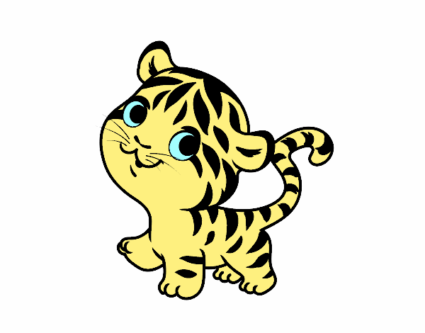 o bebe tigre