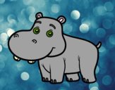 Hipopótamo jovem