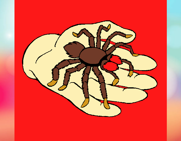 A aranha venenosa