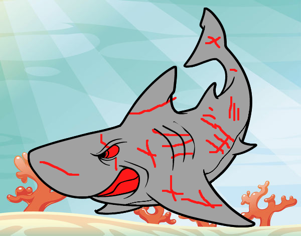 Tubarão furioso