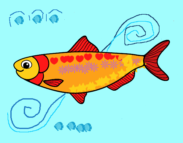 peixe colorido