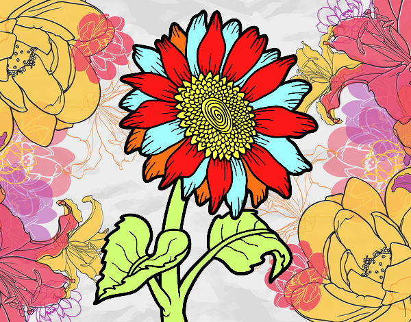 Flor de girassol
