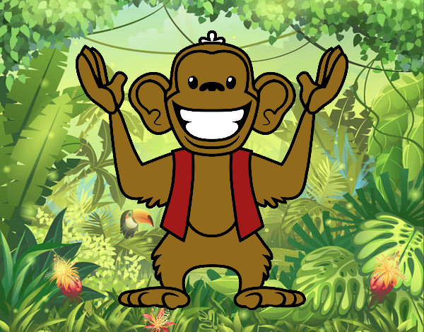 Macaco Abu