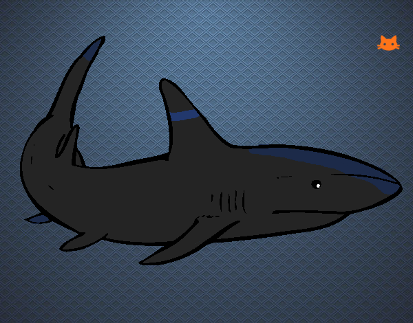 Tubarão das Sombras Azul