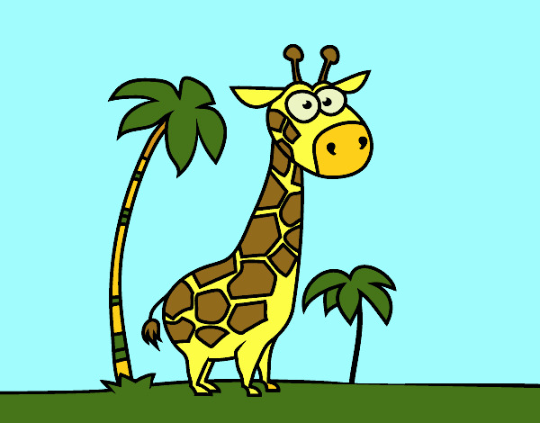 A girafa africana