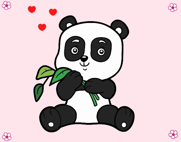Páginas coloridas de panda grátis para imprimir - Pandas - Just