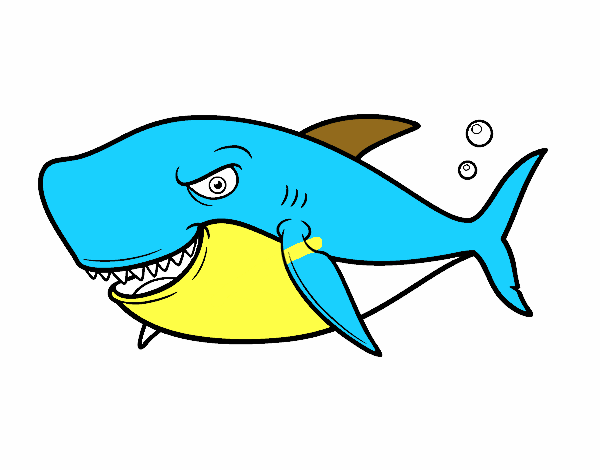Tubarão dentuço