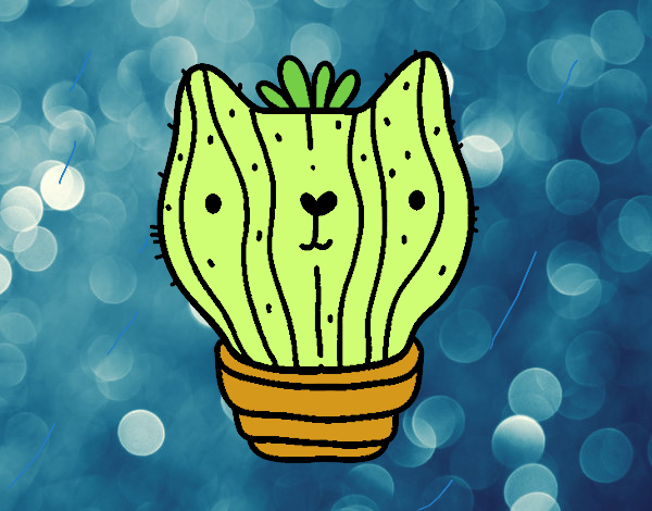 Gato cactus mt fofo :3