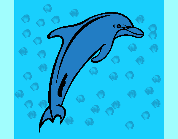 o golfinho ``amigo``