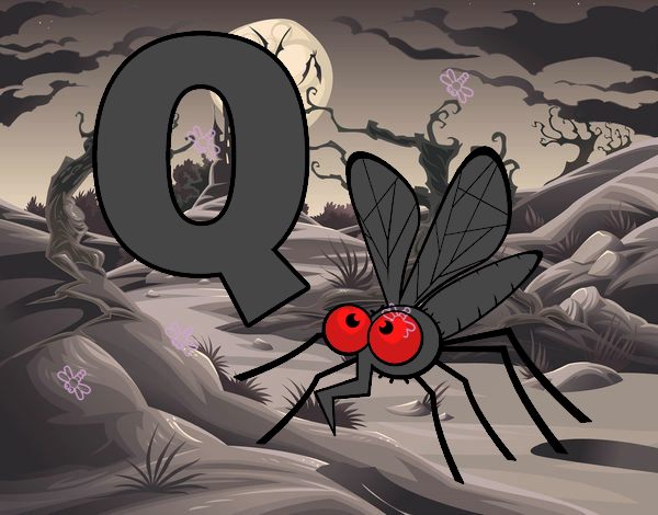Q de Mosquito