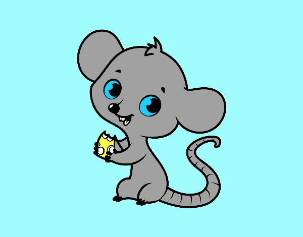 Rato bebê