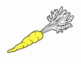 Cenoura ecológica