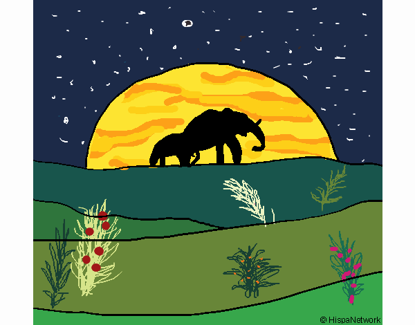 Elefante ao amanhecer