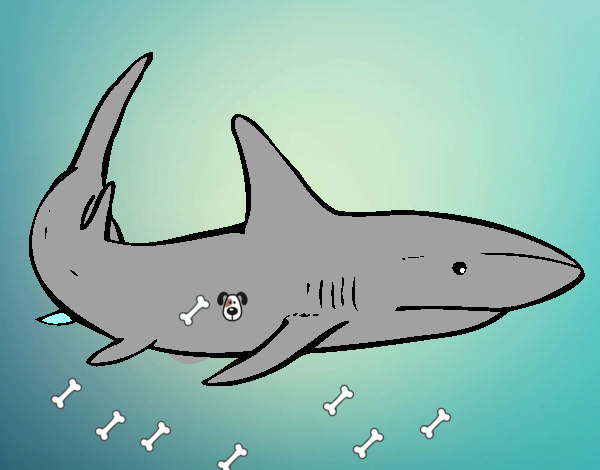 Um tubarão nadando