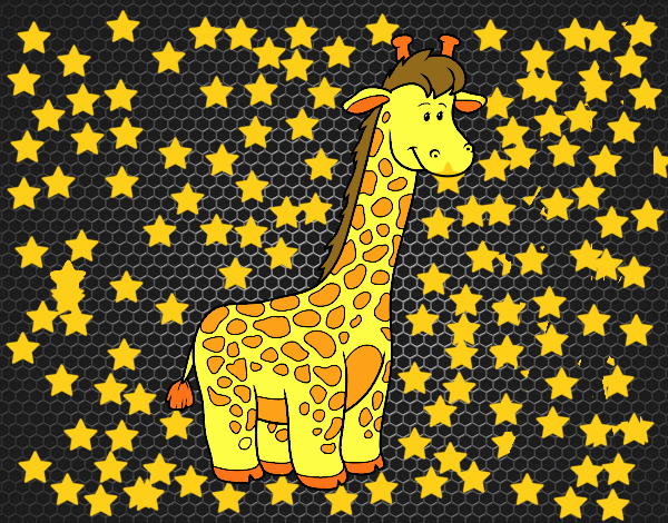 Um girafa Africano