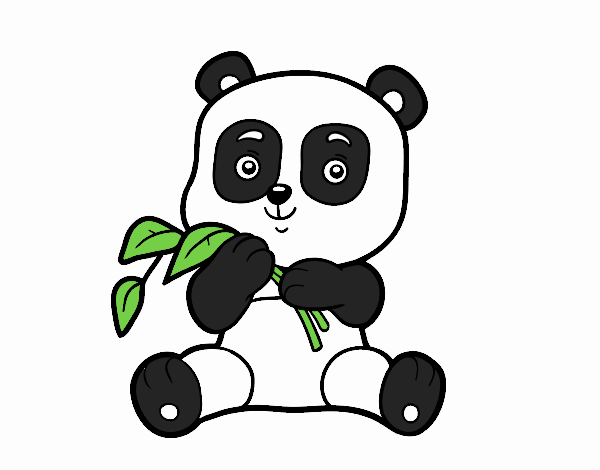 Um urso panda