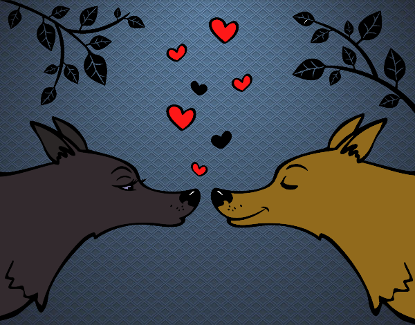 Lobos apaixonados