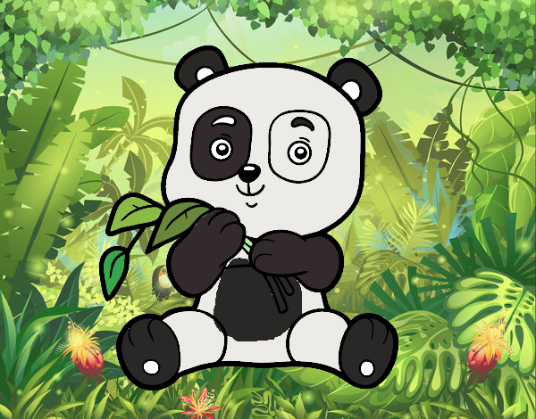 Um panda muito fofo