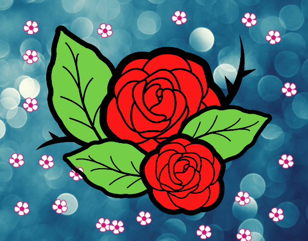 Duas rosas