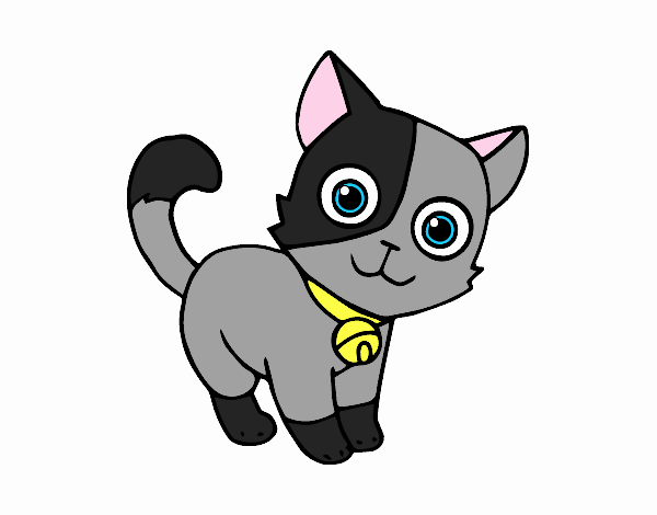 Desenho de Gato doméstico pintado e colorido por Usuário não registrado o  dia 05 de Julho do 2021