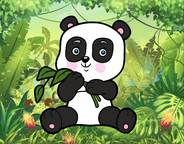 urso panda baby Max 🐼