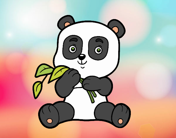 Um urso panda
