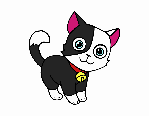 Desenho de gato fofo pintado e colorido por Usuário não registrado