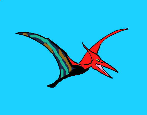 Desenho de Pterodáctilo para Colorir - Colorir.com