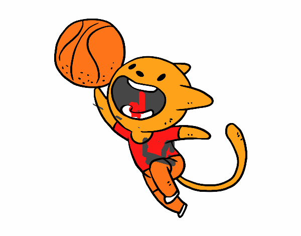 Gato basquete